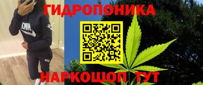 спайс Аргун