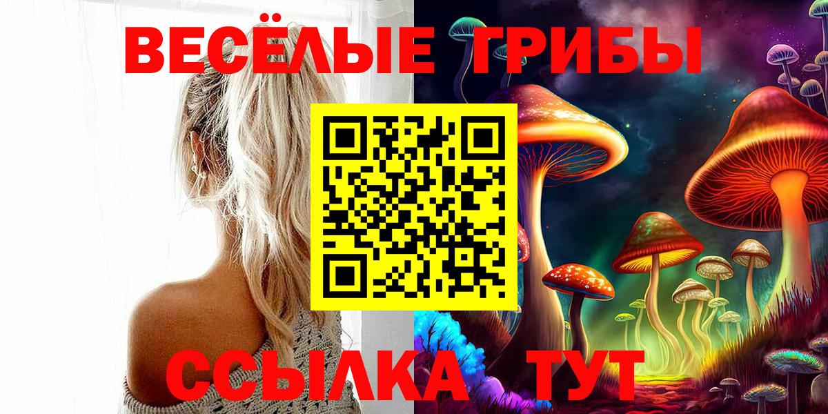 Псилоцибиновые грибы Psilocybe Богородицк