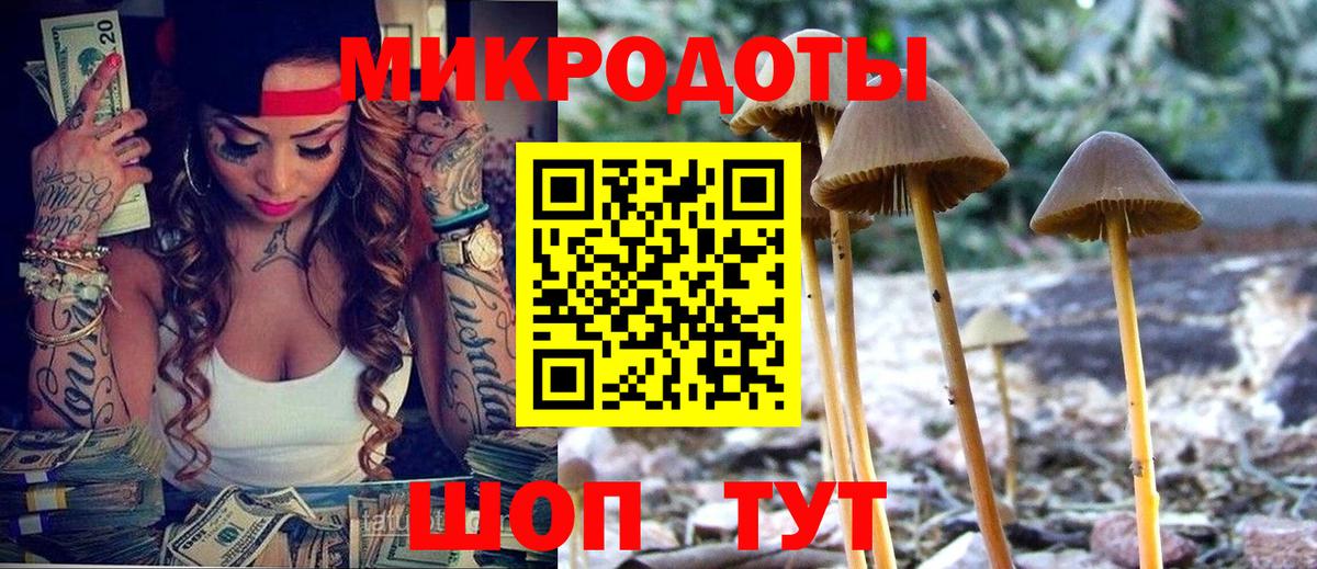 Галлюциногенные грибы ЛСД  где купить   Богородицк  Вход с VPN 